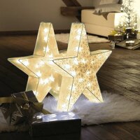 LED-Holographic Star, 24 LED warm-white, Indoor-Trafo