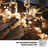 LED-Clusterlichterkette, 448 LEDs warm-weiß,  2cm Abstand, Außen-Transformator