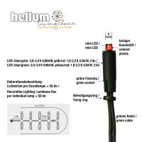 LED-Minilichterkette, 30 LEDs bunt, Innenstecker