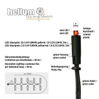 LED-Minilichterkette, 100 LEDs bunt, Innenstecker